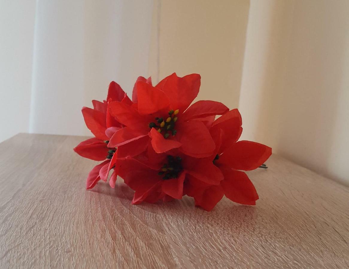 Apartament Gia Oradea Extérieur photo