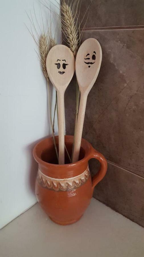 Apartament Gia Oradea Extérieur photo